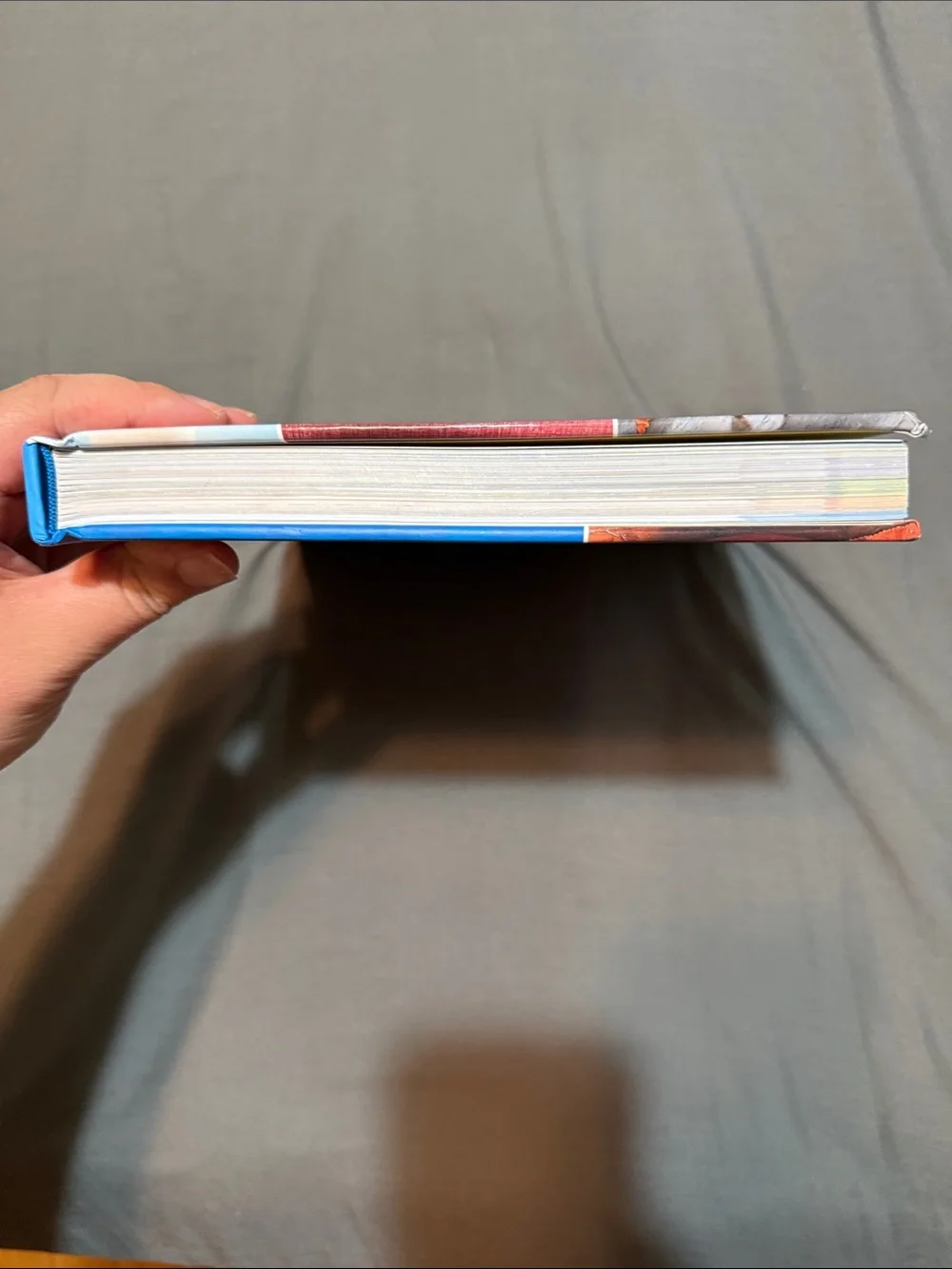 Disney 224 pages